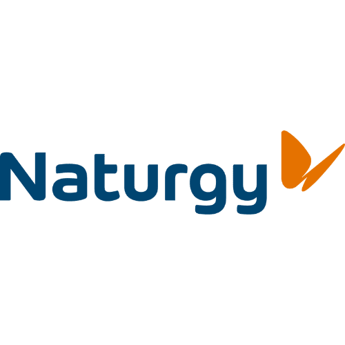 Naturgy